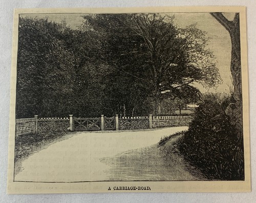 1886 magazine engraving~